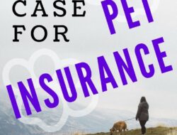 Featured image for pet's best health insurance