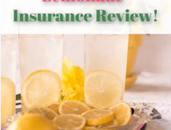 Featured image for lemonade home insurance review
