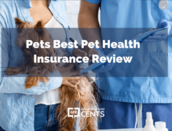 Featured image for pets best pet health insurance