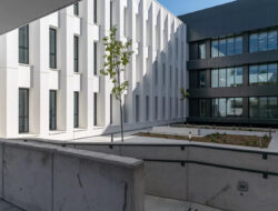Featured image for esic bussines